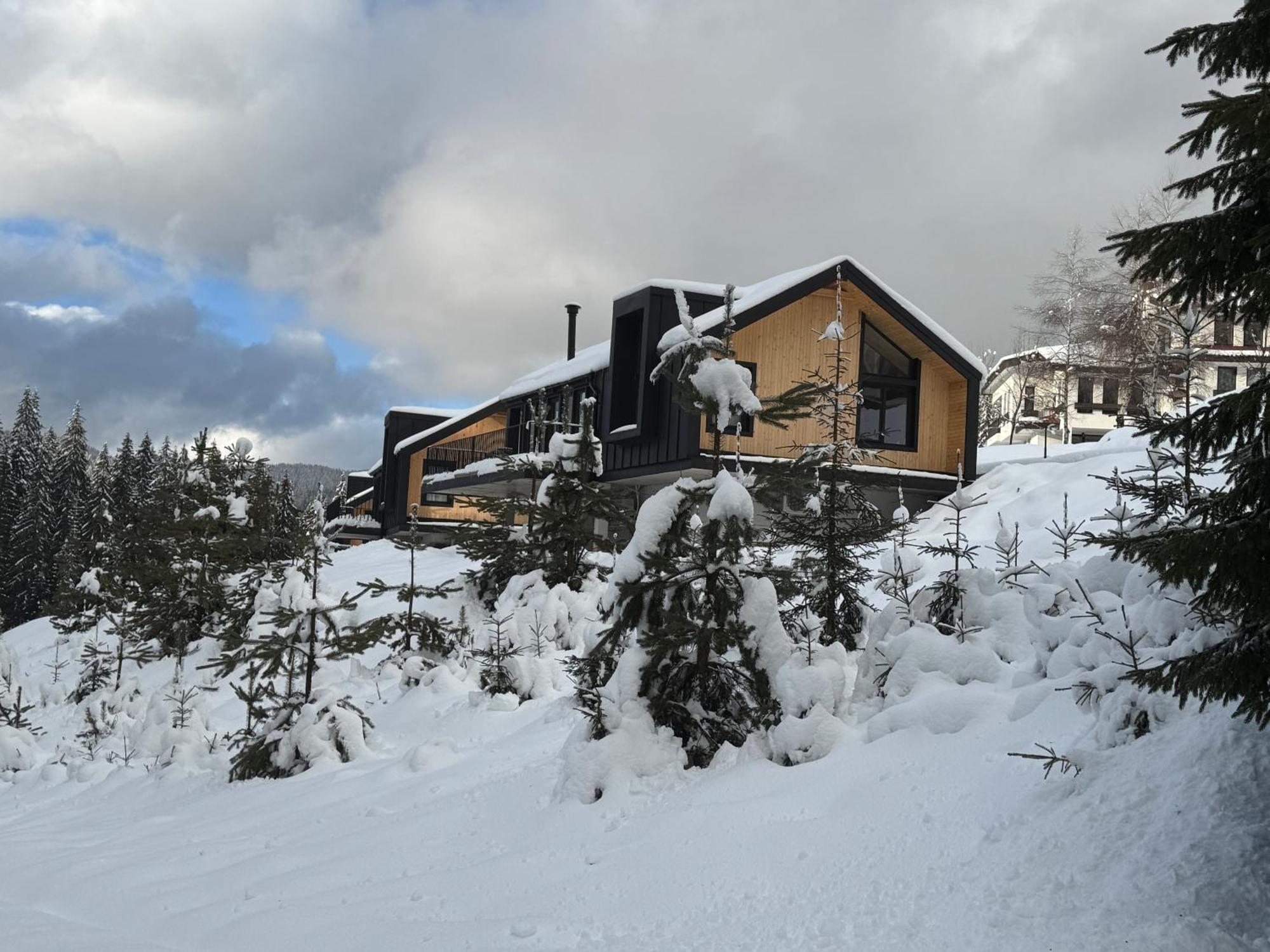 High Five Villas Pamporovo Exterior photo