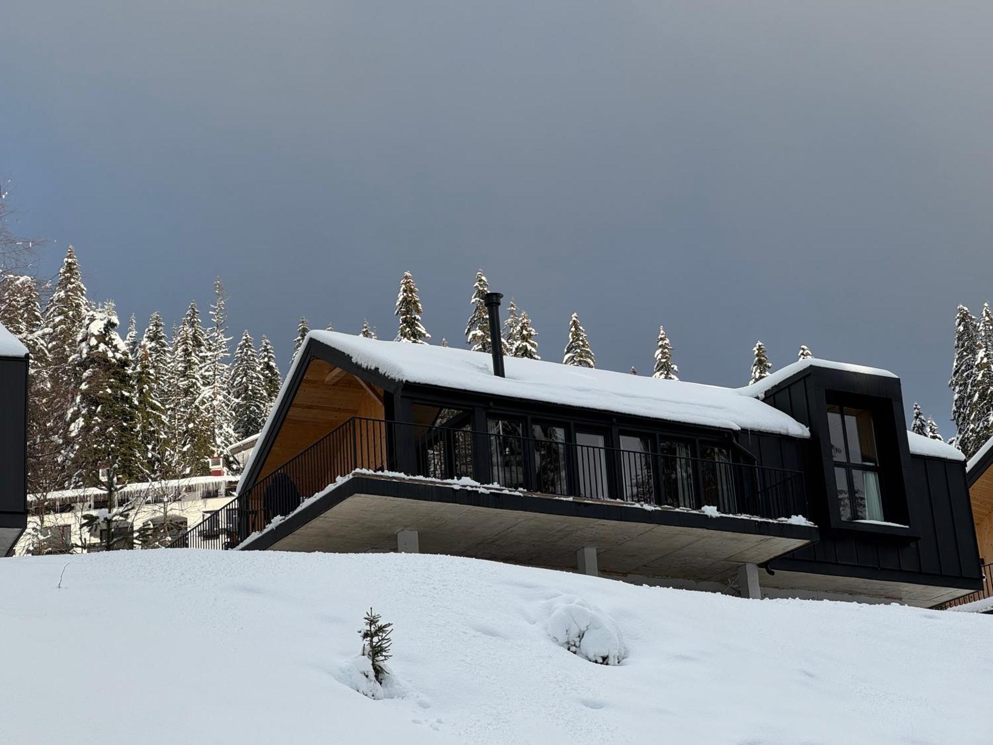 High Five Villas Pamporovo Exterior photo