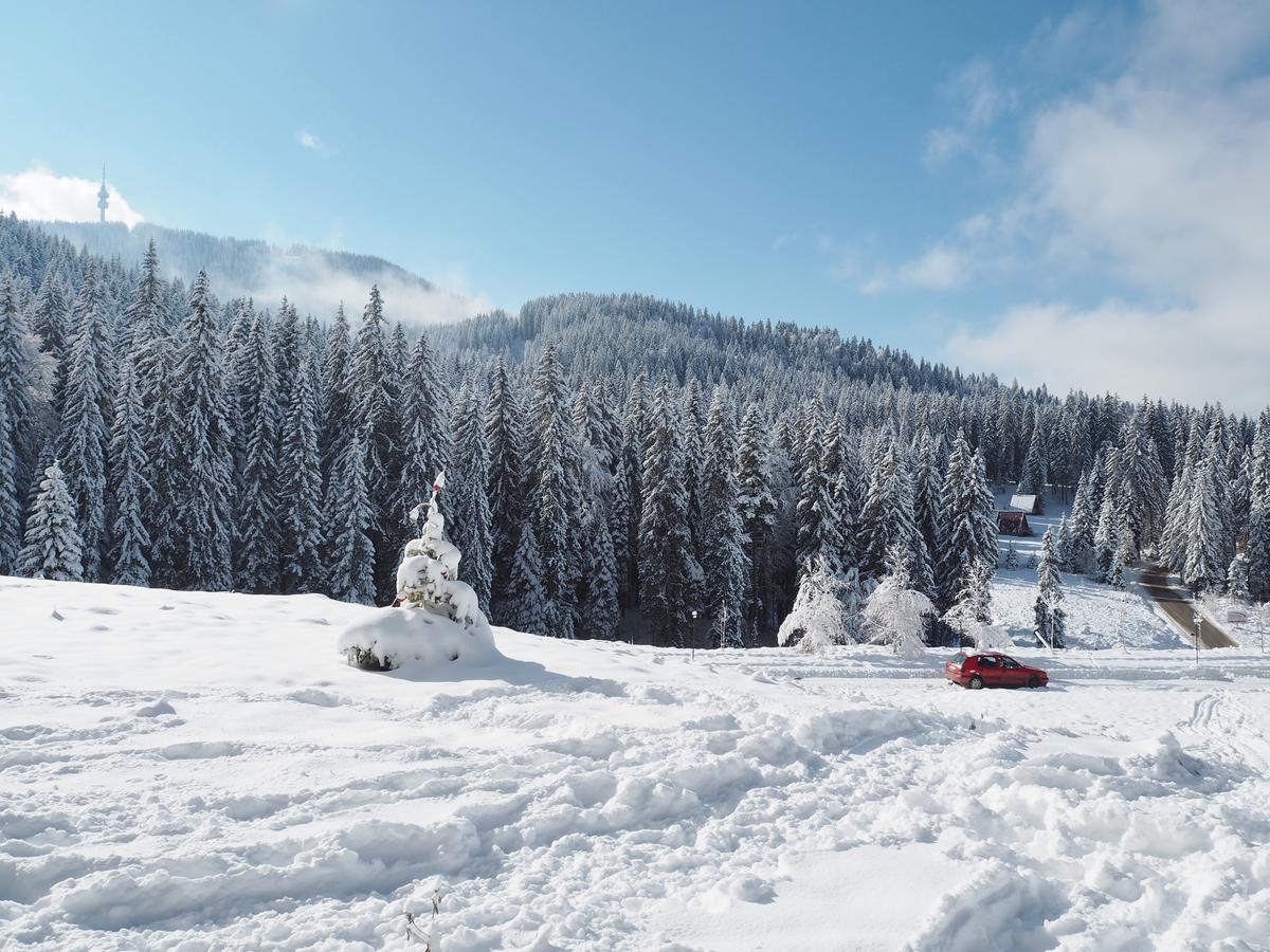 High Five Villas Pamporovo Exterior photo